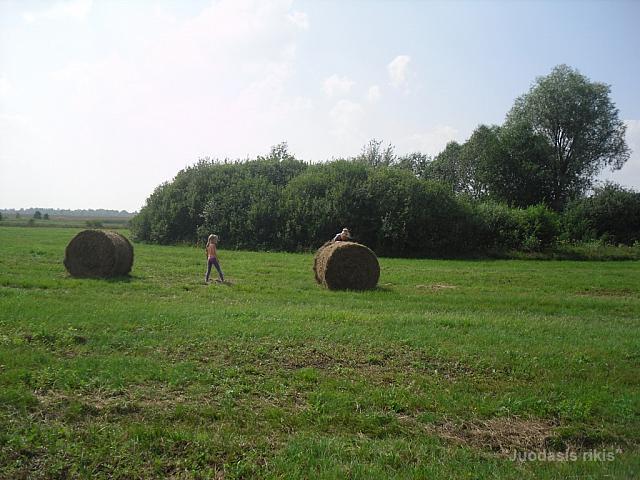 SDC14458