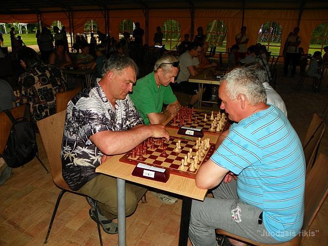 Turnyras Valstybės dienai paminėti (46)