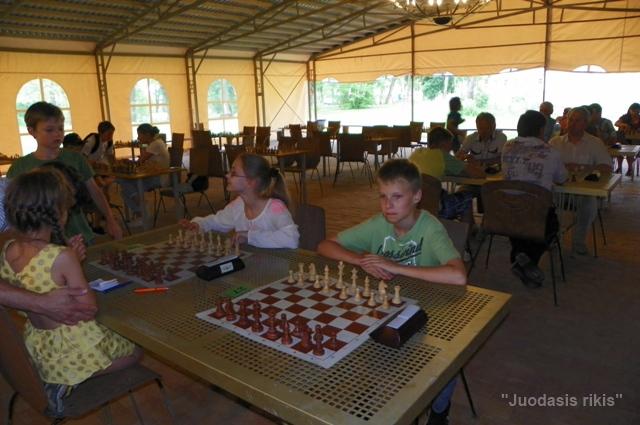 Turnyras Valstybės dienai paminėti (64)