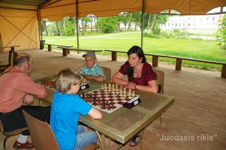 Turnyras Valstybės dienai paminėti (70)