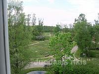 SDC13954