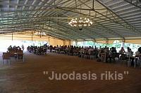 Turnyras Valstybės dienai paminėti (2)