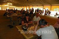 Turnyras Valstybės dienai paminėti (53)